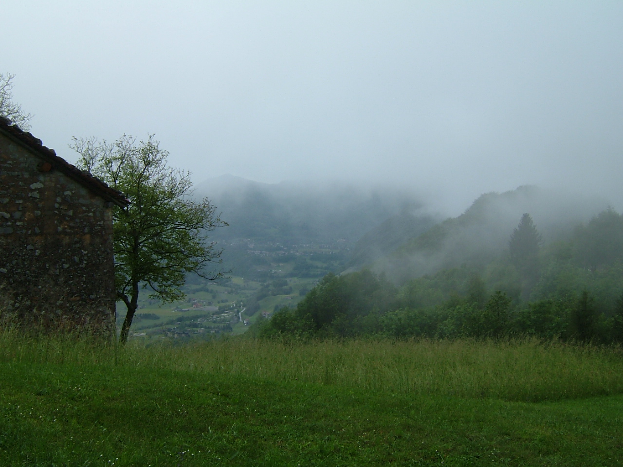 immagine risposta 14649410